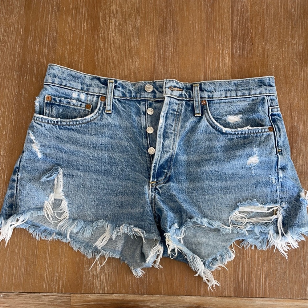 Agolde Parker Short in Swapmeet